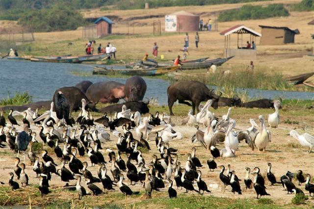 Kazinga Channel