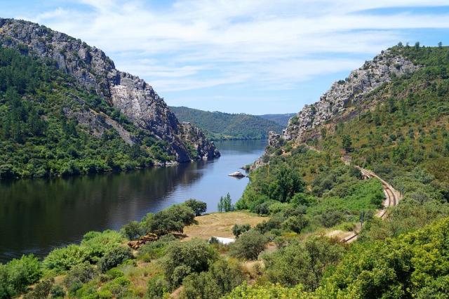 Tajo
