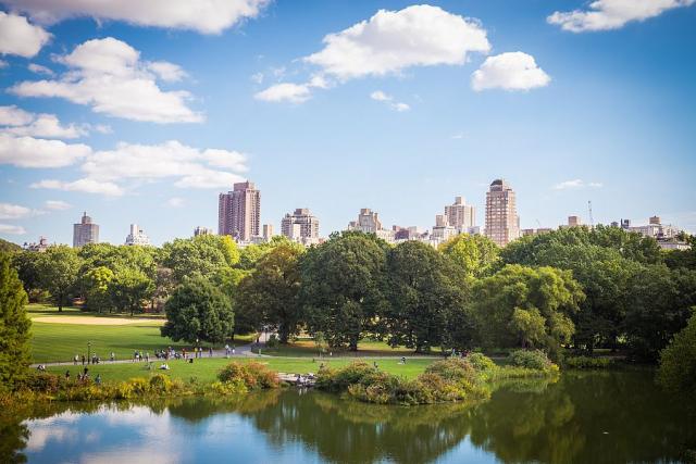 New_York_Cenral_park_3__foto_Pavel_Spurek.jpg