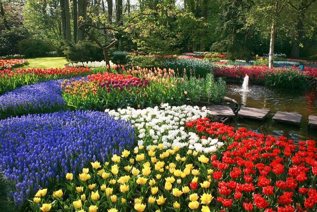 Dechberoucí květinová zahrada Keukenhof
