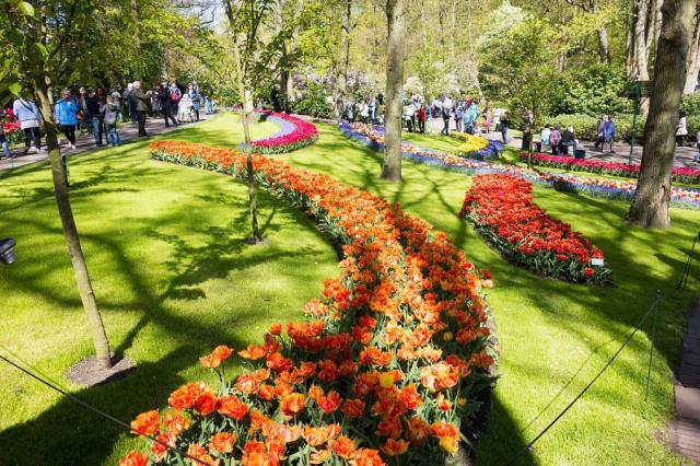 Keukenhof