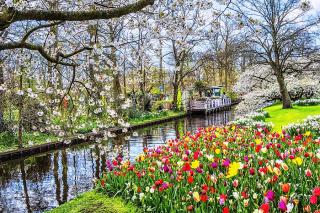To nejlepší z Amsterdamu + KVĚTINOVÁ ZAHRADA KEUKENHOF