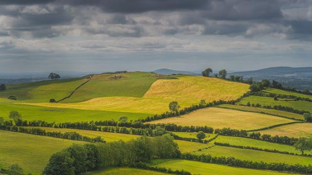 Loughcrew Cairns