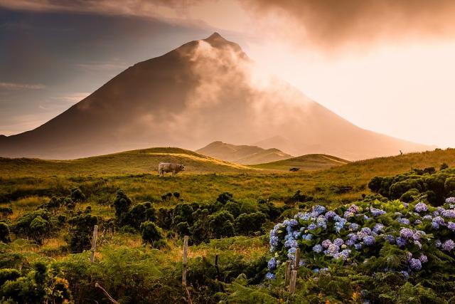 Azory - Pico