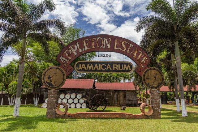 Palirna rumu v Appleton Estate
