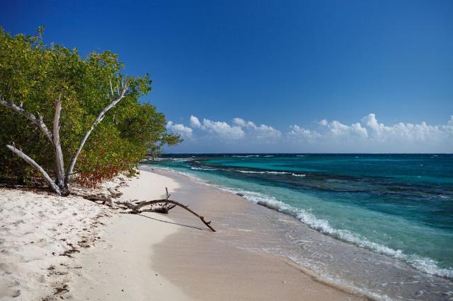 Ostrov Lime Cay