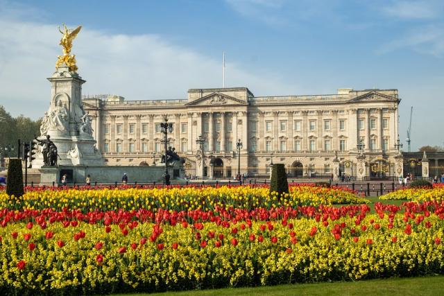 Londyn_jaro_Buckingham_Palace.jpg