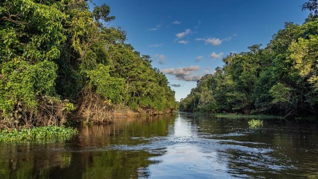 Řeka Kinabatangan