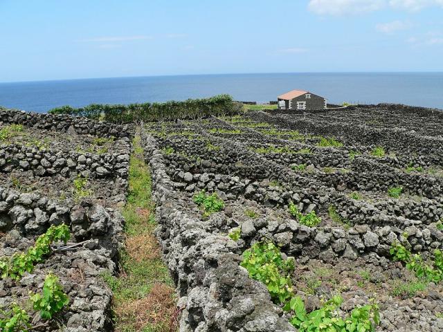 Terceira