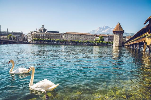 Luzern_kaplovy_most_labute_svycarsko_spurek.jpg