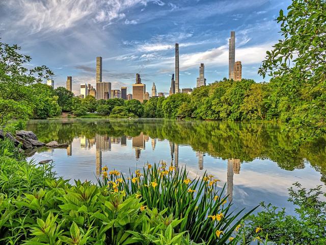Central Park