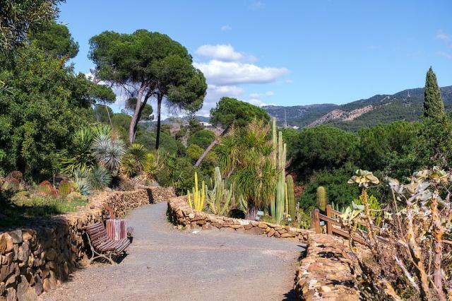 Středomořské rostlinstvo v Jardin de la Concepcion