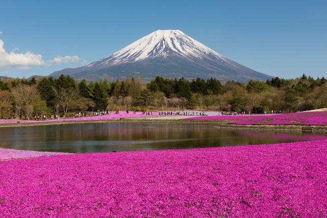 Japonsko