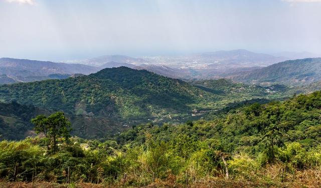 Los Pinos