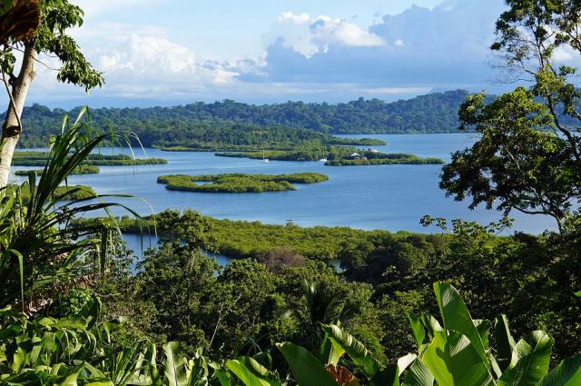 Panama_Bocas_del_Toro_krajina_mangrovoveho_ostrova.jpg