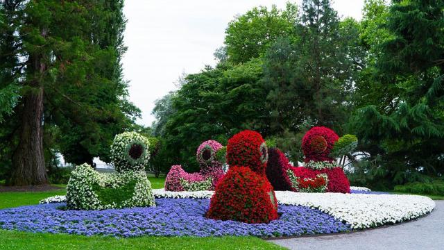 Mainau