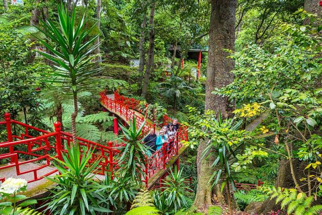 tropicka_zahrada_klienti_madeira_spurek (2).jpg