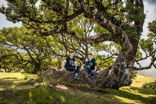 To Nejlepší Z Madeiry + Ostrovní Gastronomie + Výletní Plavba Na Porto Santo