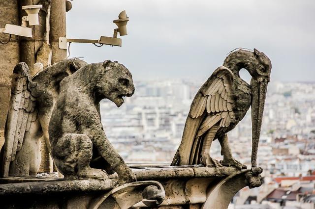 Notre Dame Paříž