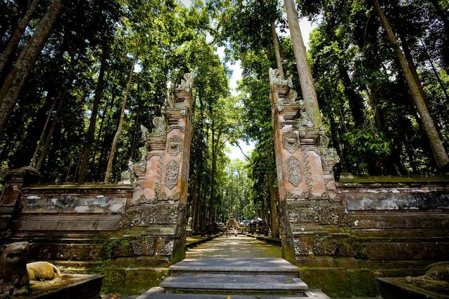 Ubud Monkey Forest