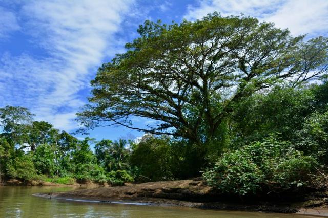 Rio Frío Costa Rica