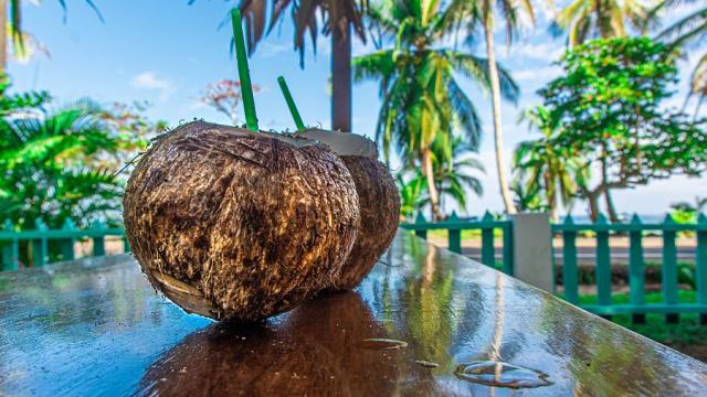 Pura Vida Costa Rica