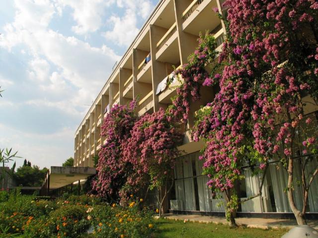 hotel Alem 2