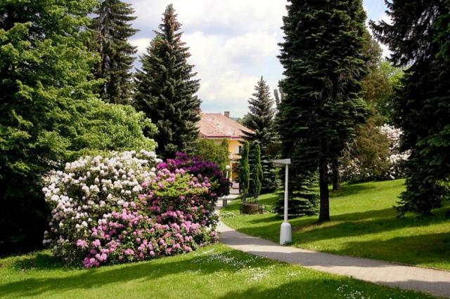 LL Lazensky park summer (2)