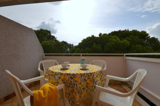 115 Apt Laguna e S.Elena Sud C6 447 037