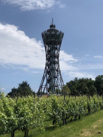 Lendava vinium rozhledna 1 028