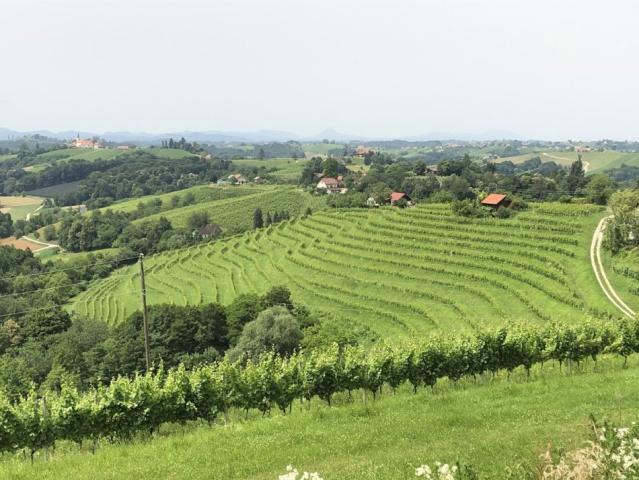 Jeruzalém 03245 017