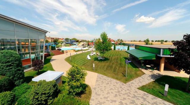 TK_Senec_1