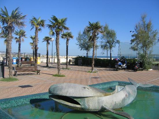 balena