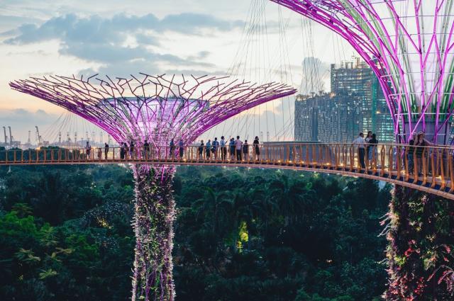 Poznávací zájezd-Malajsie, Singapur-Singapore-Gardens by the ba