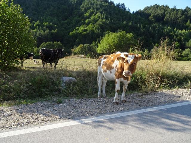 Bulharsko-poznávací-zájezd-