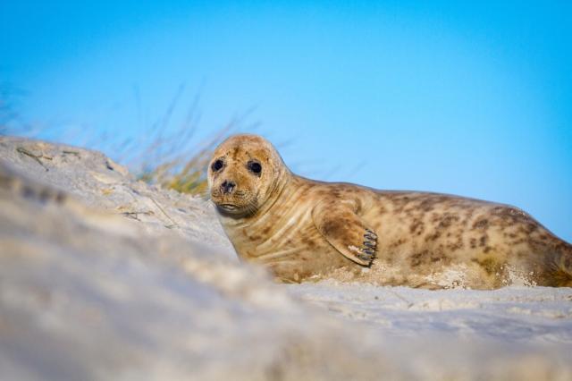 Německo-poznávací zájezd-Helgoland