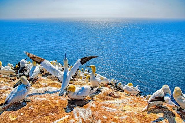 Německo-poznávací zájezd-Helgoland-