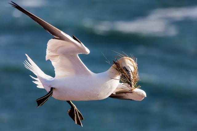 Německo-poznávací zájezd-Helgoland