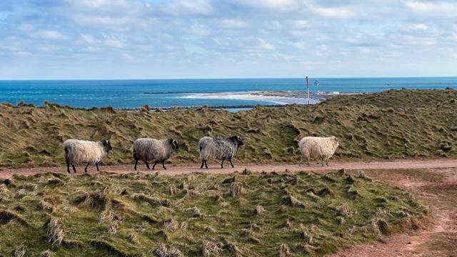 Německo-poznávací zájezd-Helgoland