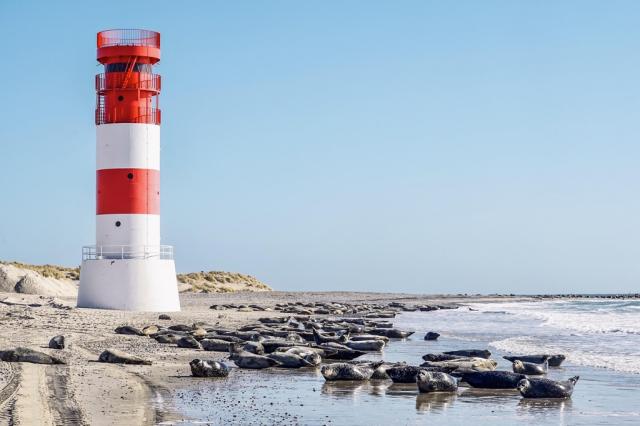 Německo-poznávací zájezd-Helgoland