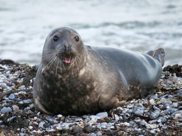 Německo-Poznávací zájezd Helgoland-Program-Den 2