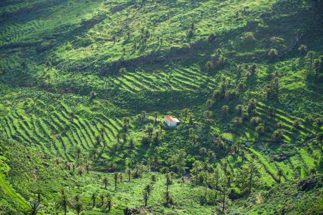 Turistika-Kanárské ostrovy-La Gomera-bancales