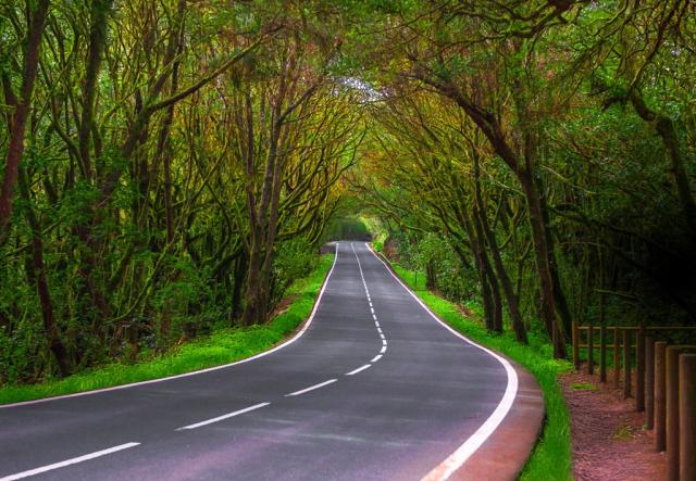 Turistika-Kanárské ostrovy-La Gomera-Carretera Parque Nacional 