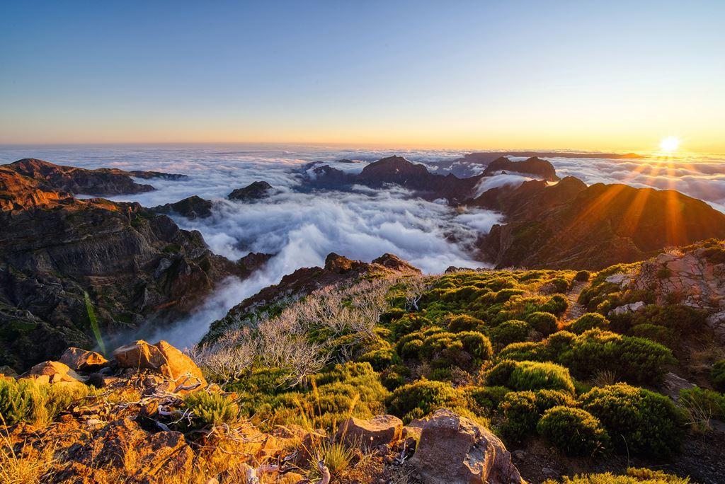 Madeira-na-Silvestra