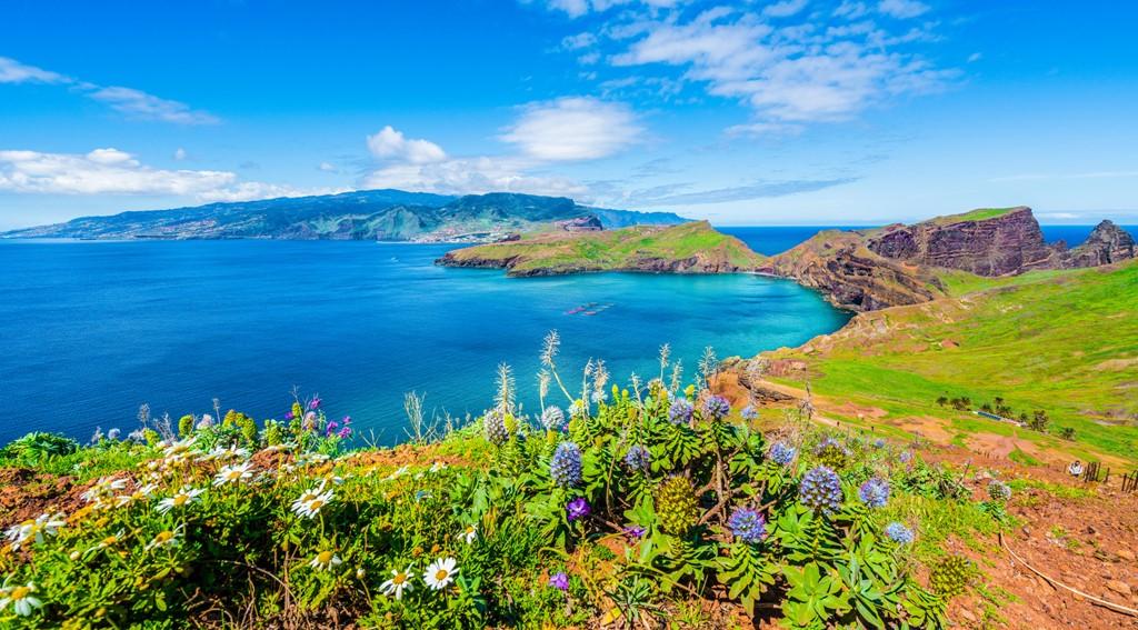 Madeira-na-Silvestra
