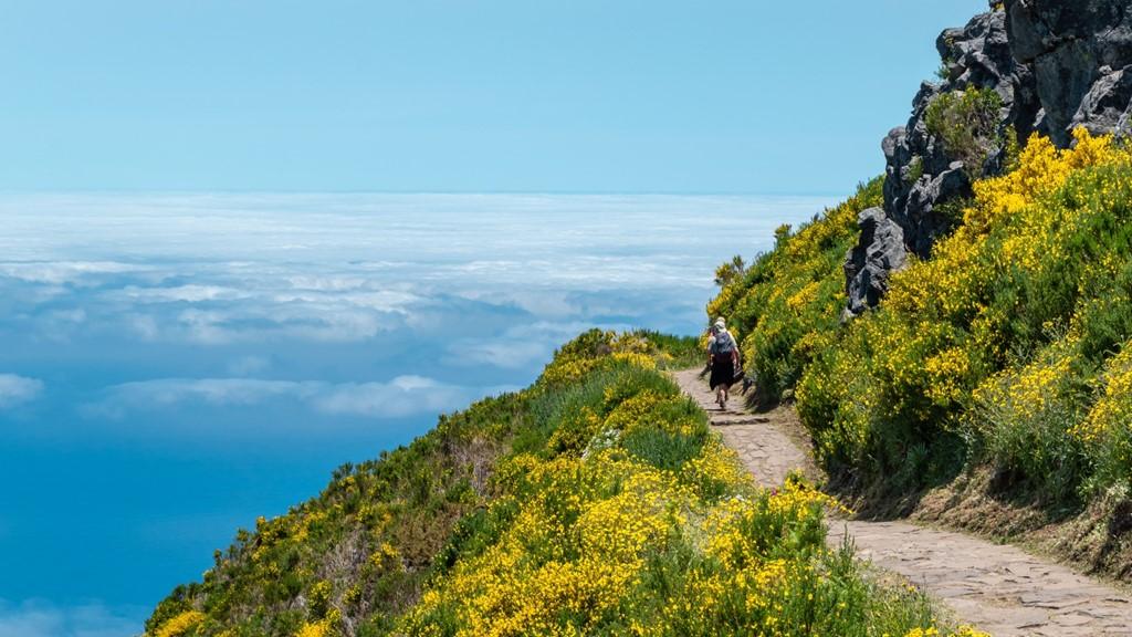 Madeira-poznávací zájezd-program-den 2-Fotka od kmarius z Pixab