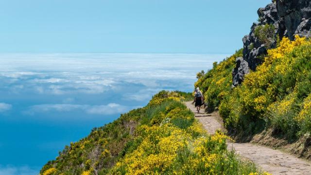 Madeira-poznávací zájezd-program-den 2-Fotka od kmarius z Pixab