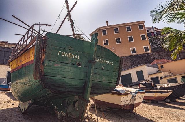Madeira-fotka od Matthias Groeneveld z Pixabay