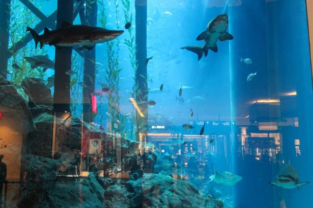 Poznávací zájezd-Dubaj a Abú Dhabí-Dubai Mall
