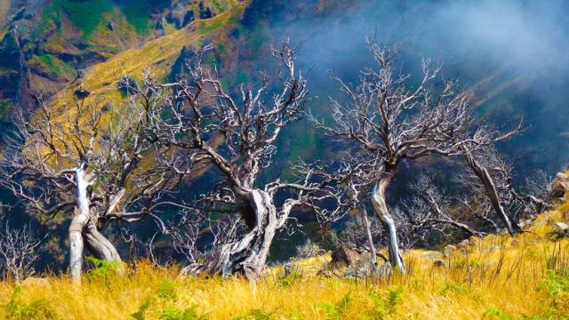 Madeira-turistický zájezd